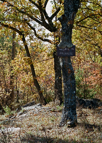 Land Art