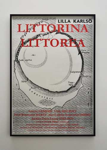 Littorina Littorea